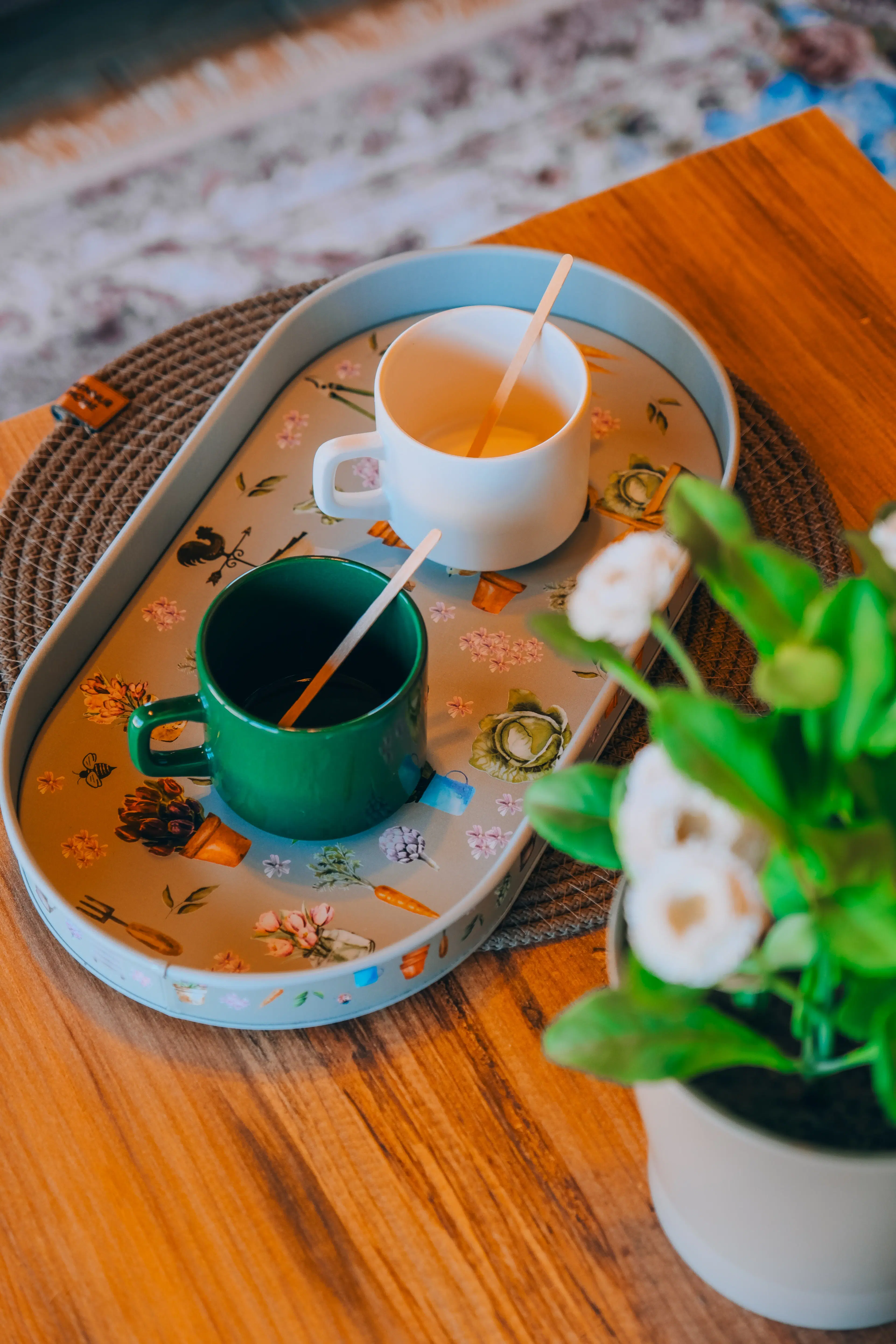 Kastamonu Taş Ev - Çevre